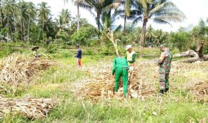 photo_2020-08-07_10-38-34 (2)