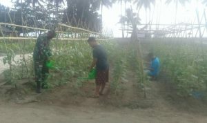 photo_2020-08-11_12-43-49