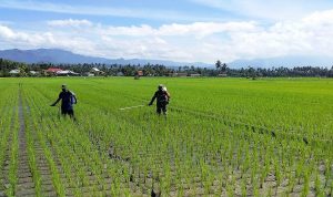 photo_2020-09-08_09-28-28