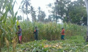 photo_2020-09-09_12-11-11