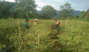 photo_2020-09-09_12-24-25