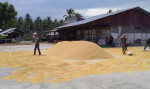 photo_2020-09-11_11-21-53