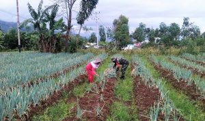 photo_2020-09-14_09-32-41