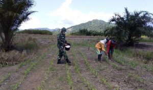 photo_2020-09-15_10-35-50