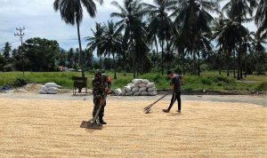 photo_2020-09-17_10-58-06