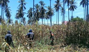 photo_2020-09-18_09-53-46