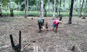 photo_2020-09-18_13-43-55