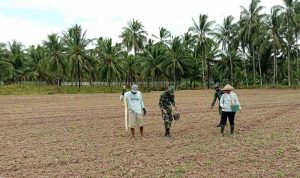 photo_2020-09-30_10-03-20