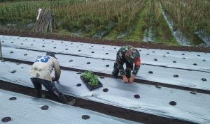 photo_2020-09-30_11-26-05