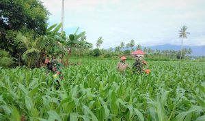 photo_2020-10-07_09-13-45