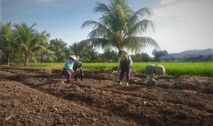 photo_2020-10-07_09-35-28