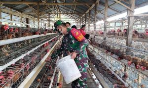 photo_2020-10-13_10-54-43