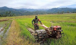 photo_2020-10-13_12-02-35