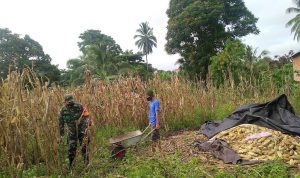 photo_2020-10-15_08-28-07