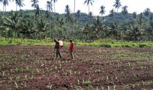 photo_2020-10-16_12-20-59