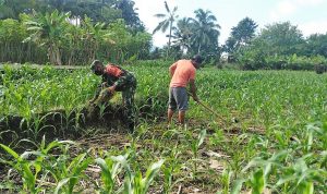 photo_2020-10-16_13-00-40