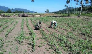 photo_2020-10-22_14-34-41