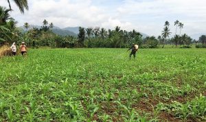 photo_2020-10-26_15-15-51