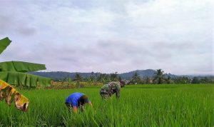 photo_2020-10-27_10-03-24