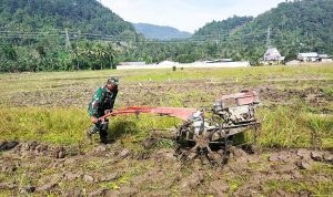 photo_2020-11-02_12-01-20