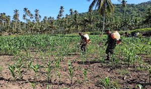 photo_2020-11-05_10-43-00