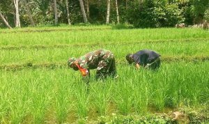 photo_2020-11-16_09-01-03