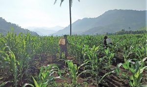 photo_2020-11-17_10-16-22