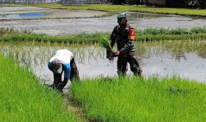 photo_2020-11-18_12-08-54