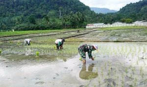 photo_2020-11-18_12-26-37