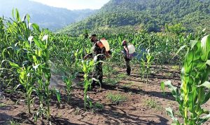 photo_2020-11-20_10-22-43