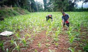 photo_2020-12-02_12-39-09