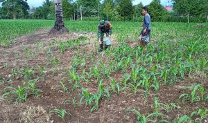 photo_2020-12-11_11-26-25