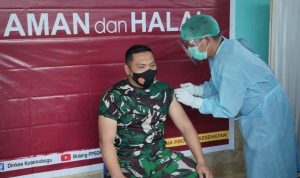 photo_2021-02-01_14-23-36