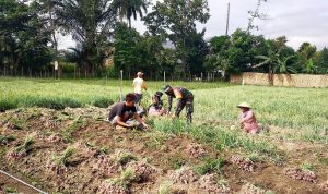 photo_2021-02-02_11-11-27