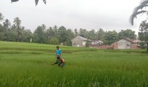 photo_2021-02-05_13-36-09