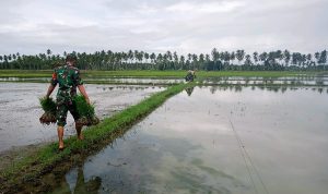 photo_2021-02-16_13-23-50