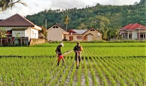 photo_2021-02-17_12-27-17