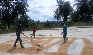 photo_2021-02-17_13-10-18