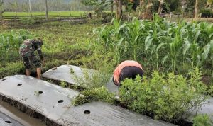 photo_2021-02-19_16-36-53