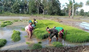 photo_2021-02-23_11-56-31