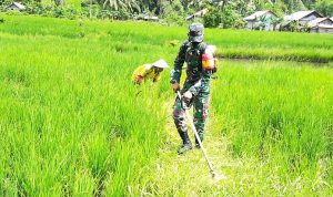 photo_2021-02-24_10-51-51