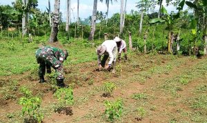 photo_2021-02-24_11-09-16