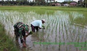 photo_2021-02-25_10-45-53