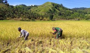 photo_2021-03-10_11-27-35