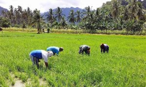 photo_2021-03-12_10-32-19