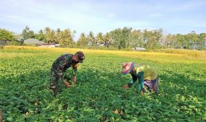 photo_2021-03-12_10-54-17