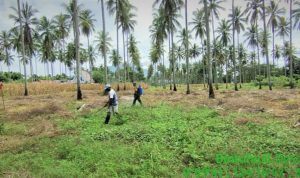 photo_2021-03-15_12-52-07