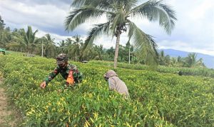 photo_2021-03-23_13-55-14