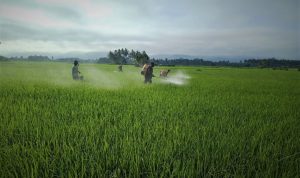 photo_2021-03-25_13-58-24