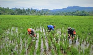 photo_2021-03-29_14-43-58